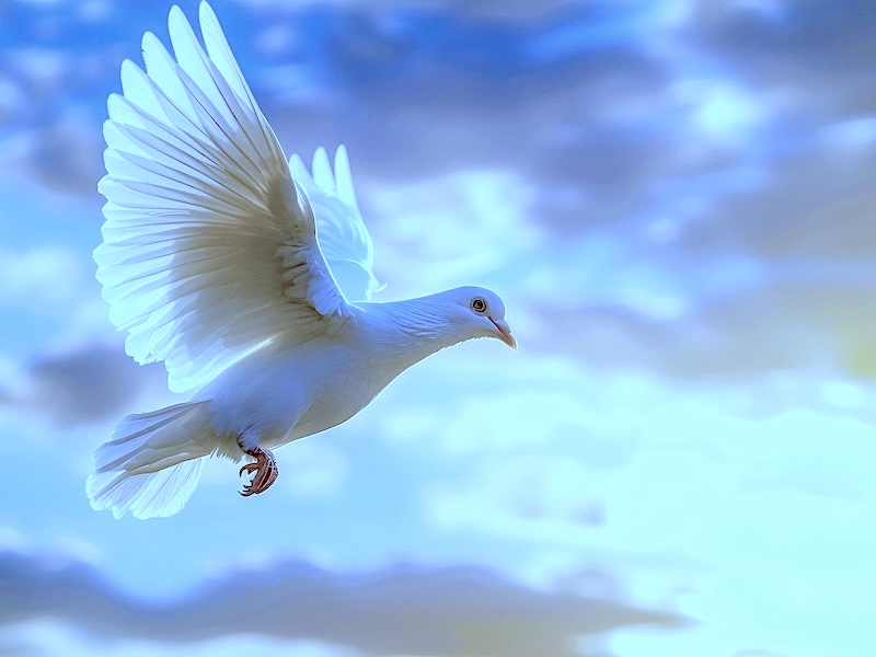 Peace